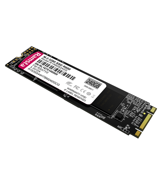 Picture of RAMSTA R600 M.2 2280 SATA 256G SSD