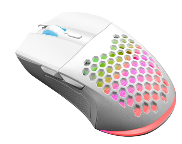 Picture of INPLAY M066-W HOLLOW STYLE MOUSE | WHITE